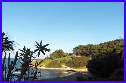Appartamento vacanza Vieste 